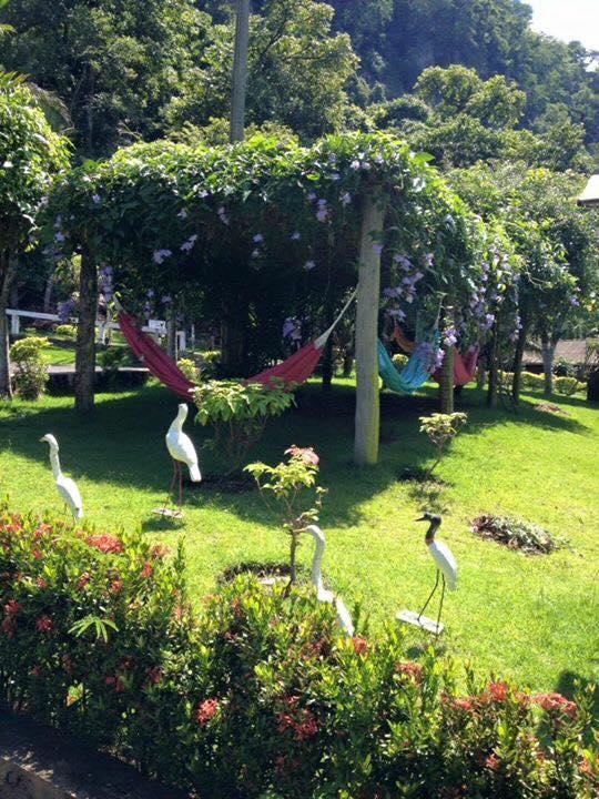 Hotel Fazenda Primavera Nova Olímpia エクステリア 写真